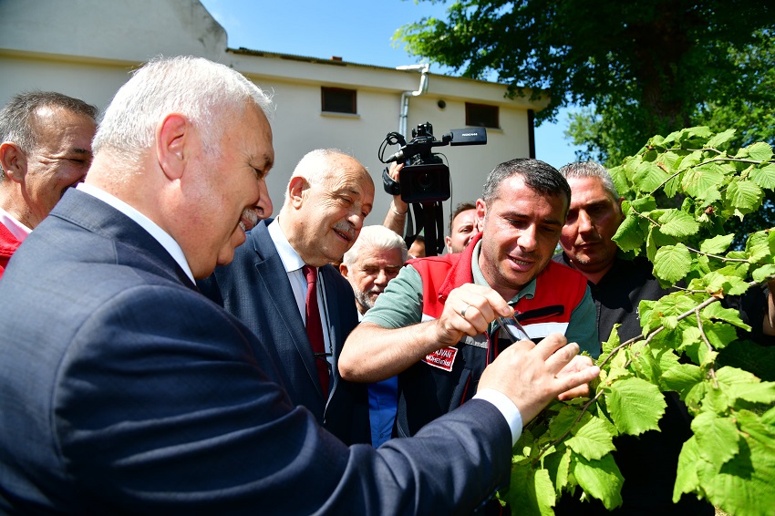Trabzon’da Samuray Arısı Vali Aziz Yıldırım’ın Katılımıyla Doğaya Salındı